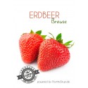 Erdbeer-Brause Postmix 10l